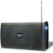 sonicgear sonicgo rdo 30x bluetooth portable fm speaker grey sonicgordo30xgr photo
