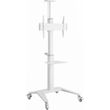 gembird aluminum tv floor stand with caster wheels 37 70 white tvs 70t 02 w photo