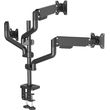 monitor bracket focus mount for desktop dlb1033 photo