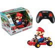 carrera mario kart pipe kart photo