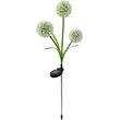 forever light solar led lamp sunari fls 95 garlic flower 3000k 600mah ni mh photo