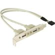 delock 10pin usb 2x usb 20 female photo