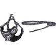 dog set dogness harness and leash black and white photo