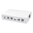 logilink nk4033 surface mount box for keystone 6 or 12 port photo