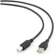 cablexpert ccp usb2 ambm 10 usb20 cable a plug to b plug 3m photo