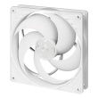 fan arctic p14 pwm pst white white photo