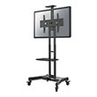 neomounts by newstar nm m1700black floor stand 32 75 photo neomounts by newstar nm m1700black floor stand 32 75 photo