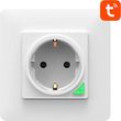 avatto n wot10 eu w tuya wireless smart wall socket white photo