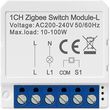 avatto lzwsm16 w1 zigbee 1 channel smart internal switch photo
