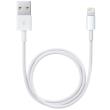 apple me291 lightning to usb cable 05m photo