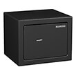 xrimatokibotio bormann bds2100 photo