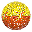 waboba brain ball yellow orange photo