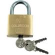 loyketo opeixalkino golddoor no25 bl462 photo
