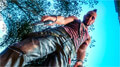 far cry 3 classic edition extra photo 2