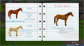 my riding stables life with horses extra photo 3