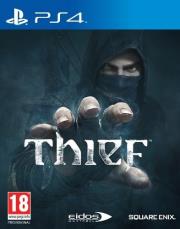 thief photo