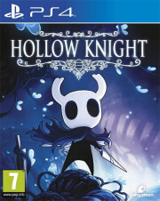 hollow knight photo