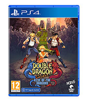 double dragon gaiden rise of the dragons photo