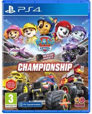 paw patrol rescue wheels championship photo