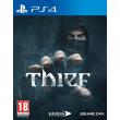 thief photo thief photo