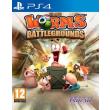 worms battlegrounds photo