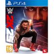 wwe 2k25 photo