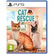 cat rescue story photo cat rescue story photo