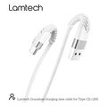 lamtech type c v20 high quality unbreakable cable silver 2m lam450299 extra photo 7