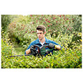 thamnokoptiko mpatarias bosch ahs universal hedge cut 18v 50 solo 0600849k00 extra photo 1 thamnokoptiko mpatarias bosch ahs universal hedge cut 18v 50 solo 0600849k00 extra photo 1