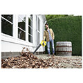 fysitiras mpatarias karcher lbl 4 36v solo 1445 1500 extra photo 6