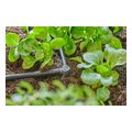 gardena micro drip system syndesmos gonias l 46mm 3 16 10tmx 13212 20 extra photo 3