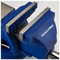 meggeni peristrefomeni me amoni bormann bbv3005 100mm extra photo 1