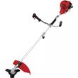 einhell benzinokinito thamnokoptiko gc bc 30 1 i as 3436525 photo