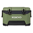 psygeio pagoy forito 49l bmx 52 igloo 41670 green tact photo