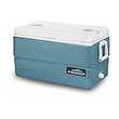psygeio pagoy forito 66l max cold 70 igloo 41624 gkri mple photo