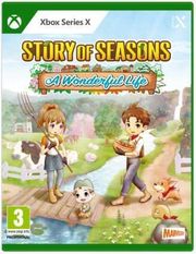 story of seasons a wonderful life photo